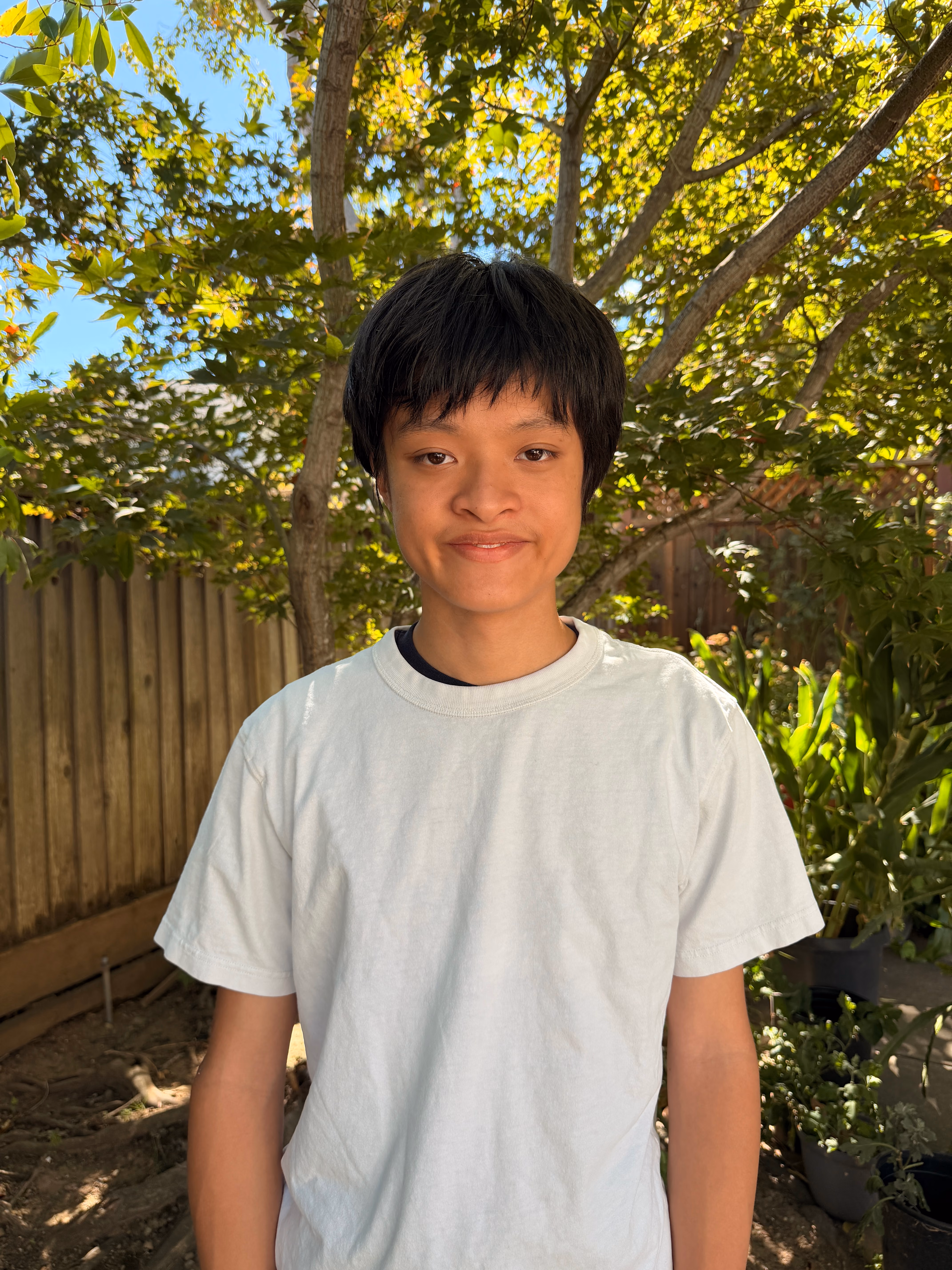 Ryan Liu, Software